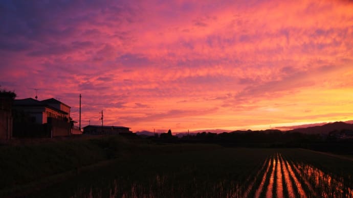 6月18日の夕暮れ・・・