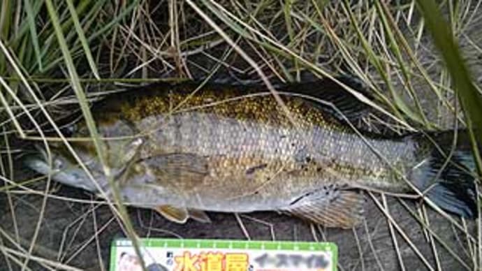 S.Y様のバスフィッシング。
