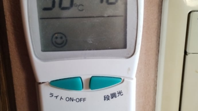 やはり、これ