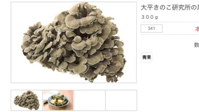 大平きのこ研究所の黒舞茸