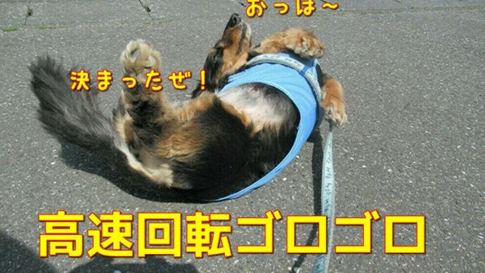肩こりに効くリンパケアのご紹介