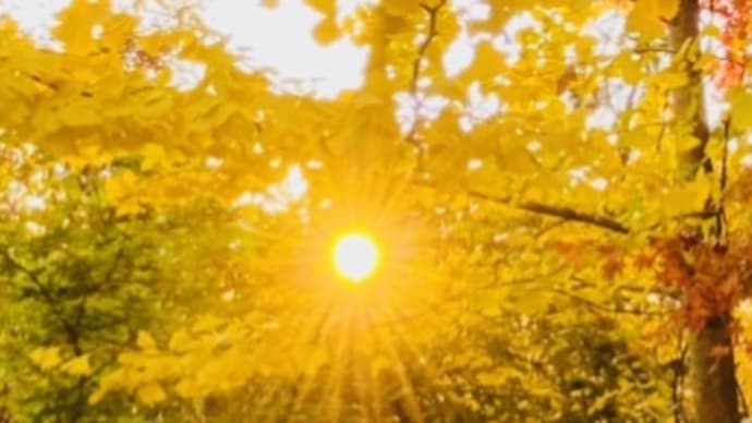 お釈迦様の教えの原点に帰ろう