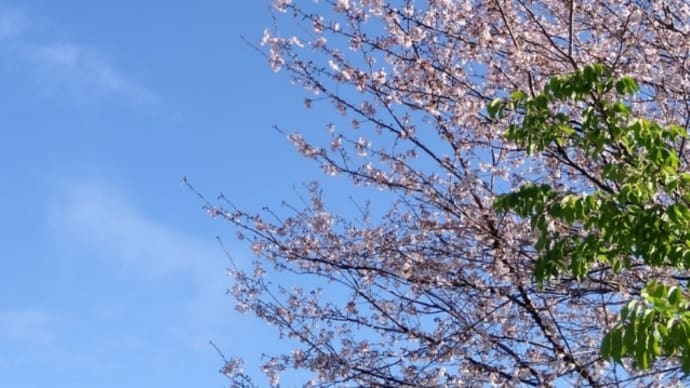 ありがとうの歌 水前寺清子