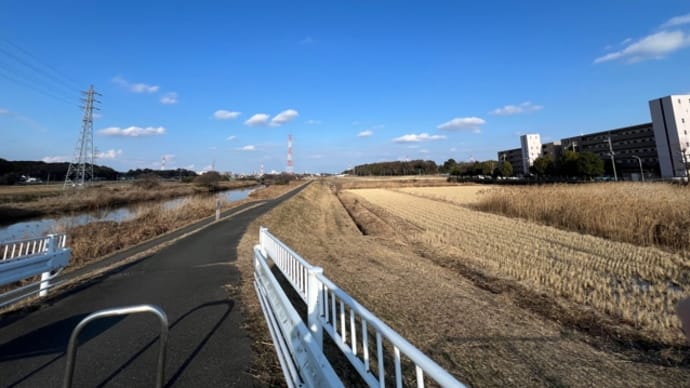 太陽に向かって