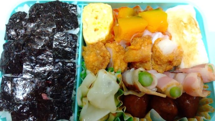 ８月３１日のお弁当と長良川球場巨人広島戦