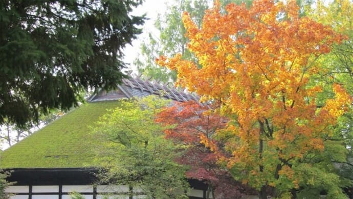 木戸五郎兵衛村と公園の紅葉