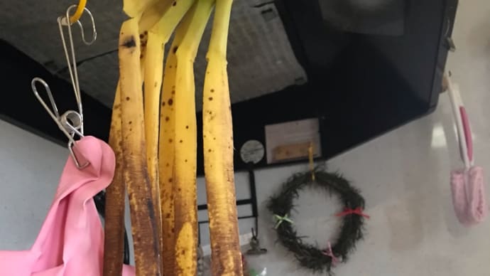 バナナが一気に完熟！？驚！