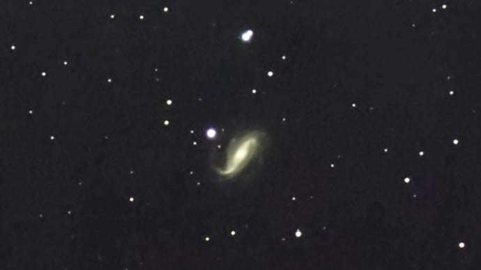 星見娘で電視観望39(ちょうこくしつ座 NGC613棒渦巻銀河)
