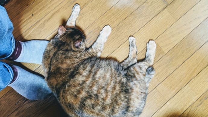 昼活