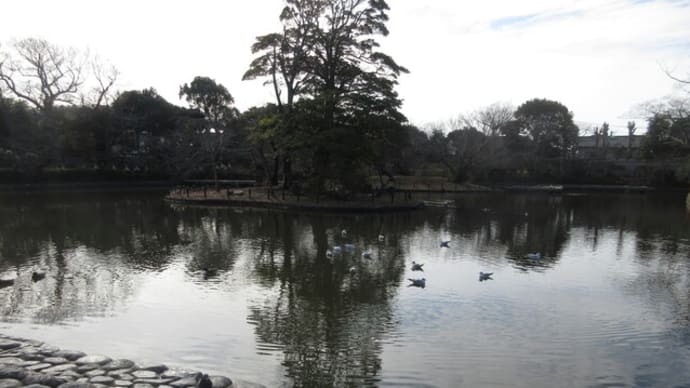 鶴岡八幡宮 神苑ぼたん庭園