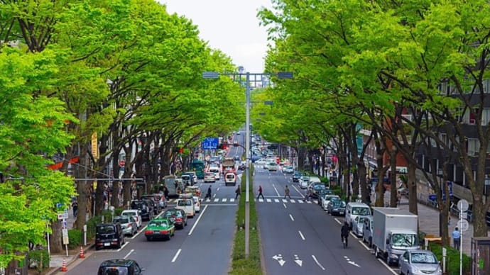 表参道で