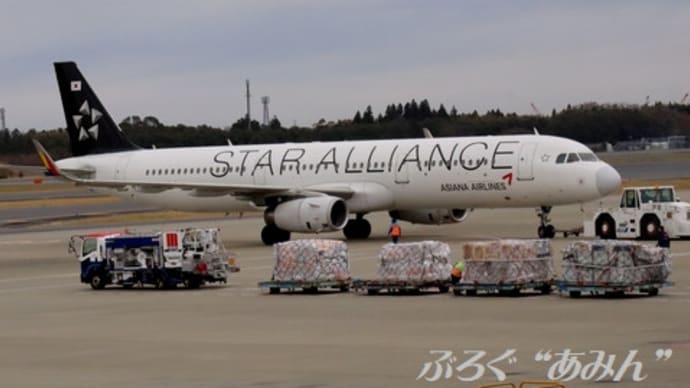 ★アシアナ航空(OZ/AAL)A321【HL8071】スタアラ塗装機