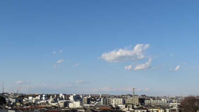 春一番が吹きました