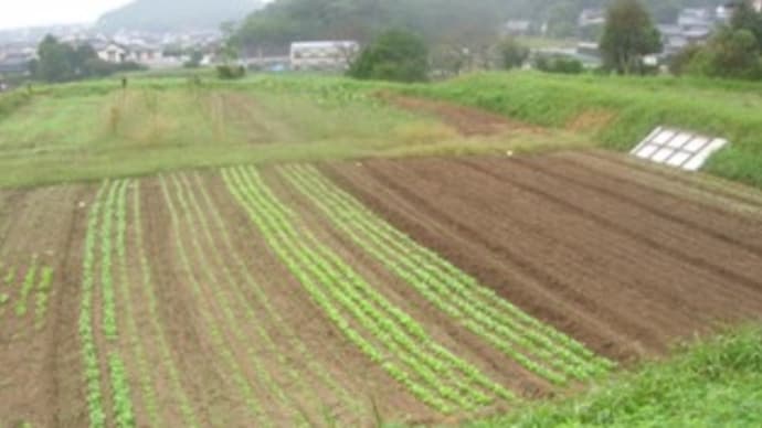 らぶ注入~