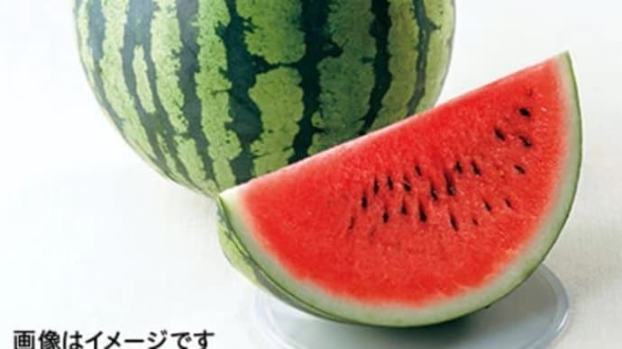 05年2月21日日中頭が重いpart2
