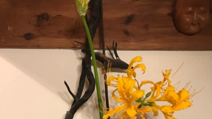 拗ねるベス🐕‍🦺・・・１人対🐕‍🦺だけだから