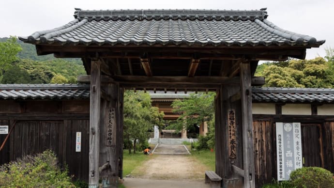 大原山 西福寺 (福井県敦賀市原13-7)