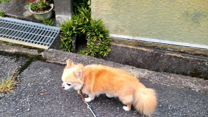 耳が遠くなるとこうなりますね。