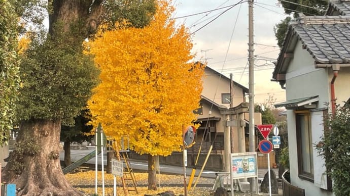 秋と冬の境目
