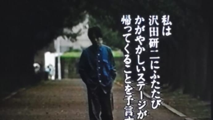 美しい歳月。沢田研二は一本の樹である④