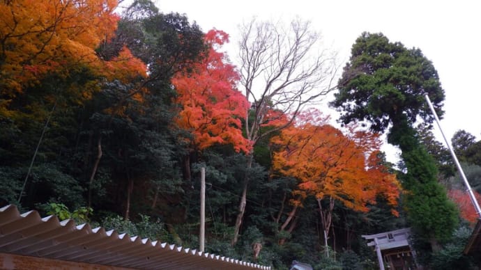 宗形神社の紅葉