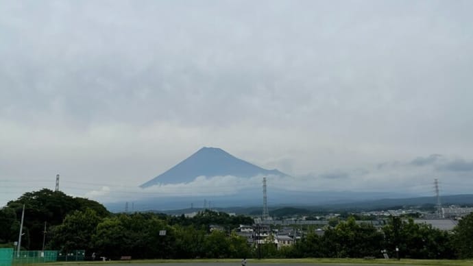 獲れたて野菜は格別においしい