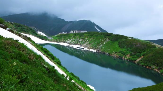 ●2010年7月31日 立山 室堂平から ミクリガ池 地獄谷 ミドリが池 遭難者慰霊塔 ライチョウ 高山植物