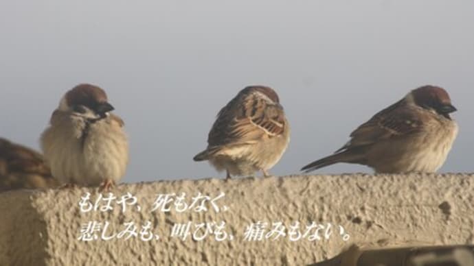 干渉しすぎに要注意