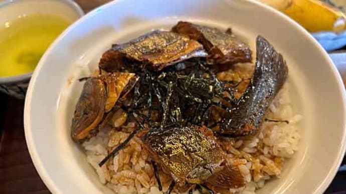 稲沢でイワナ食えるの〜? 「寿きや」のいわな丼!
