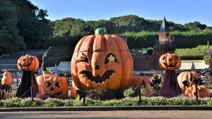 今日はハロウィン