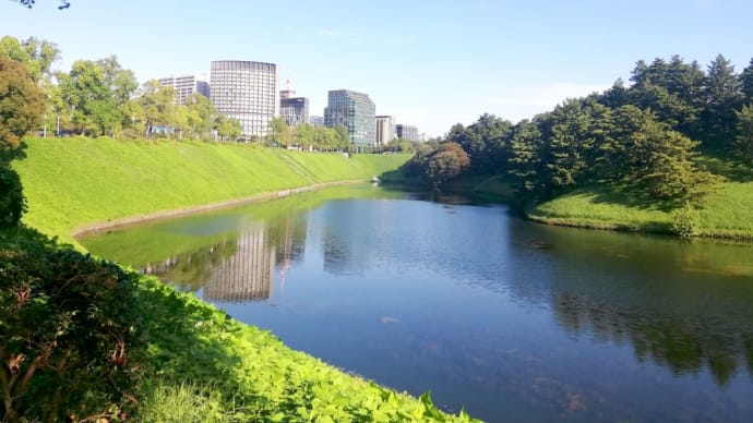 通勤散歩~千代田区の秋~