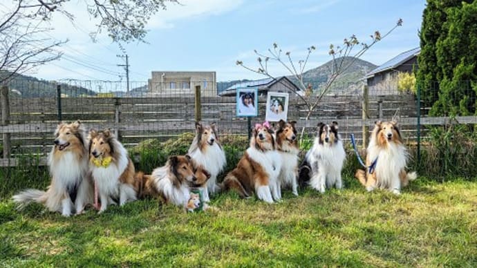 13キッズ 10歳のお祝い会 前編
