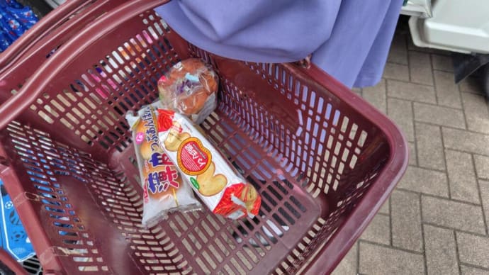 買い物同行