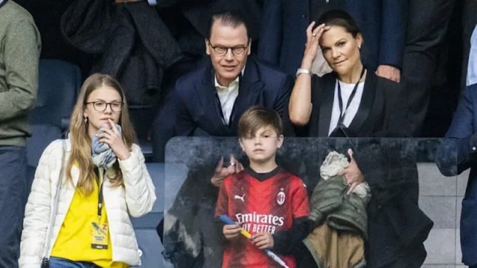 スウェーデンVSセルビア・サッカー親善試合、普段はフツーにこんな感じ