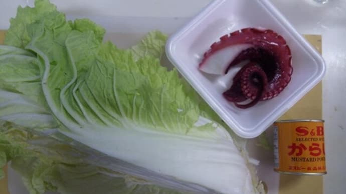 白菜の季節