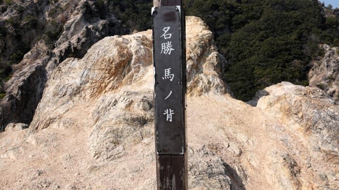 久しぶりに六甲縦走路を歩きました ・・・