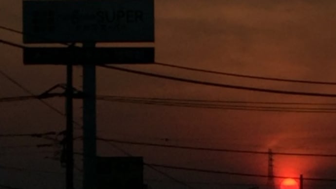 ステイホーム 週間⑫ この時期に出来る事