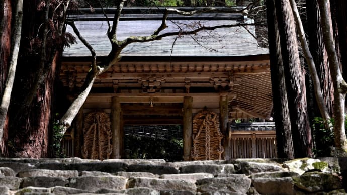 早春の湖東三山百済寺 1