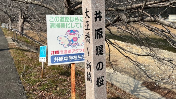 あとひと月もすれば…井原堤の桜並木