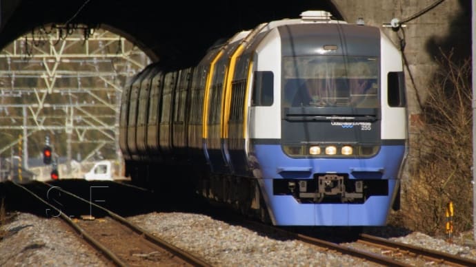 2024年2月26日 総武本線 物井 255系 しおさい10号