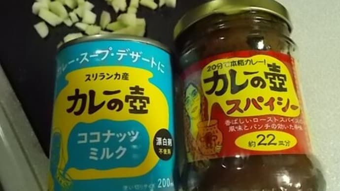 カレーの壺でココナッツカレーとOCN改悪