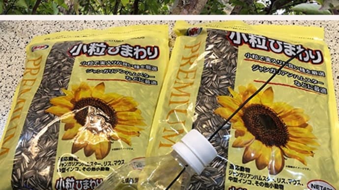 追加でシジュウカラ用給餌器を設置してみました。