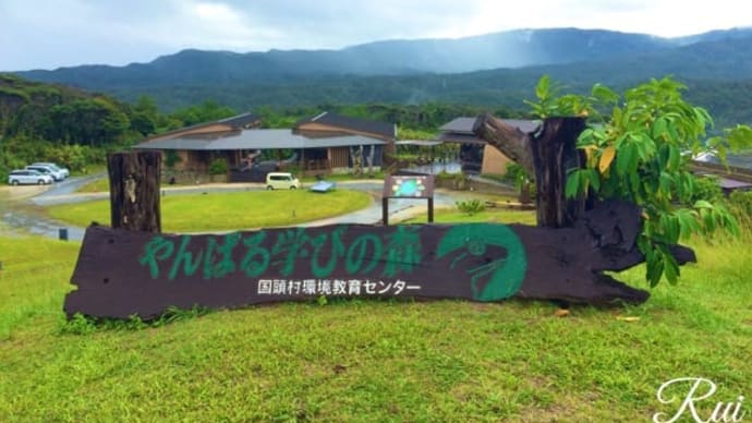 遊び心のときめき やんばる学びの森