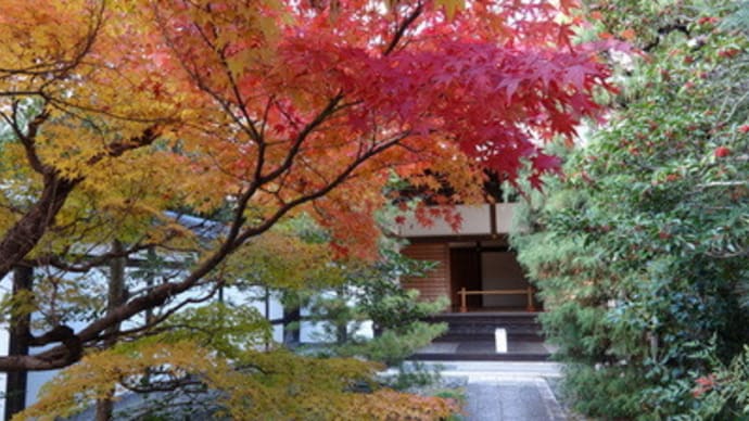 2013年嵯峨釈迦堂の紅葉（後編）　＠　京都妖怪探訪（３１５）