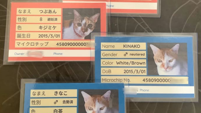 猫IDカード