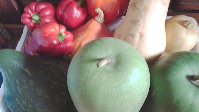 豊穣の秋野菜