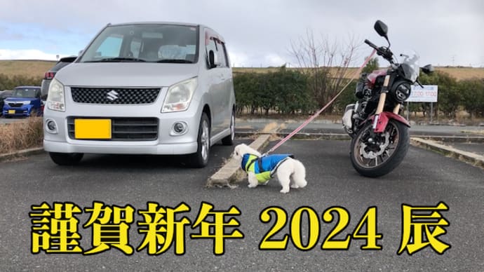謹賀新年(2024)今年も宜しくお願いします #ペキニーズ