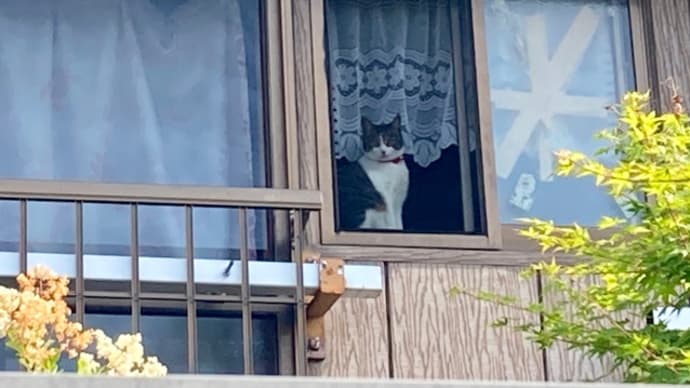 ルーシーダットン(タイ式ヨガ)の日