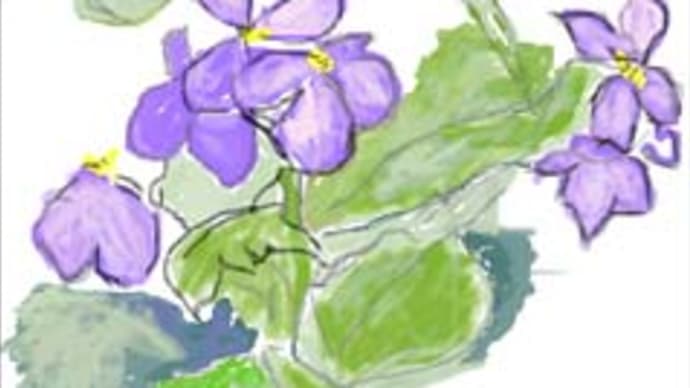 パソコンで描く水彩画「ダイコンの花」