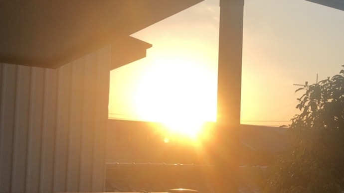 最近の太陽です。